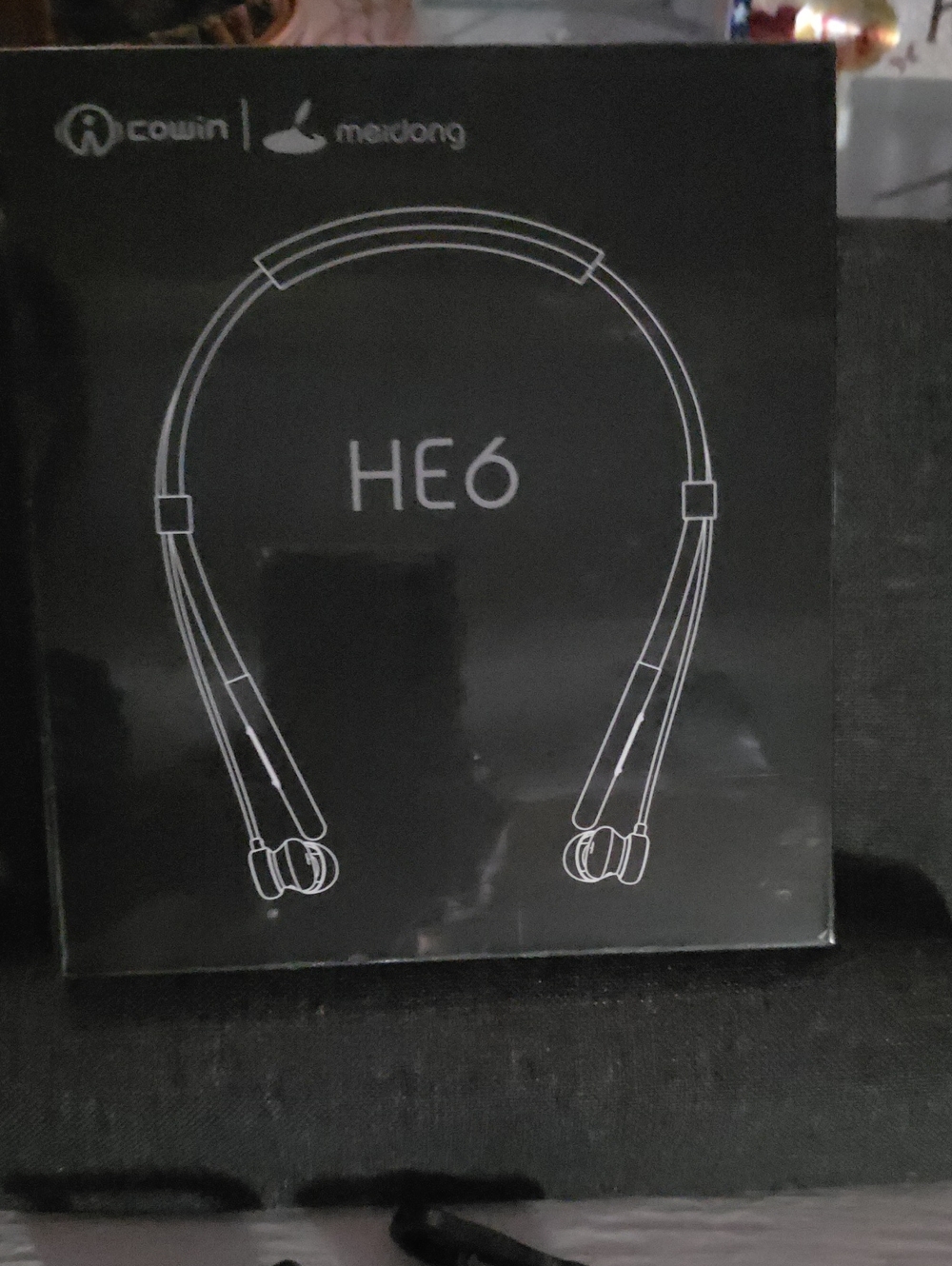 HE6 Black Wireless Neckband Headphones